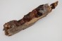 Kasztanowiec amerykański Buckeye czeczot/burl