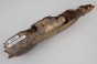 Kasztanowiec amerykański Buckeye czeczot/burl