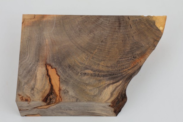 Kasztanowiec amerykański Buckeye drewno na biżuterię