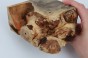 Kasztanowiec amerykański Buckeye czeczot/burl drewno na biżuterię