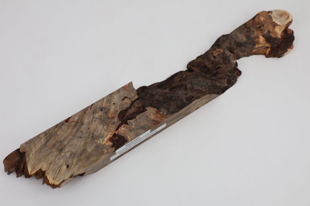 Kasztanowiec amerykański Buckeye czeczot/burl drewno na biżuterię
