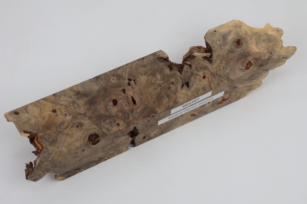 Kasztanowiec amerykański Buckeye czeczot/burl drewno na biżuterię