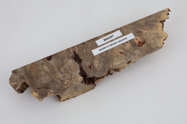 Kasztanowiec amerykański Buckeye czeczot/burl drewno na biżuterię