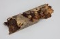 Kasztanowiec amerykański Buckeye czeczot/burl drewno na biżuterię
