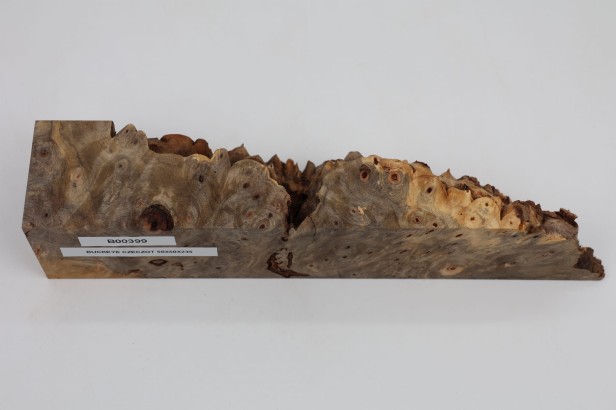 Kasztanowiec amerykański Buckeye czeczot/burl drewno na biżuterię