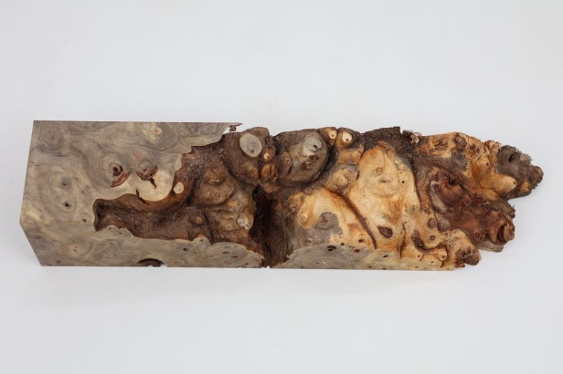 Kasztanowiec amerykański Buckeye czeczot/burl drewno na biżuterię