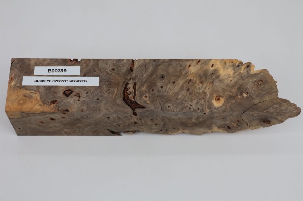Kasztanowiec amerykański Buckeye czeczot/burl drewno na biżuterię
