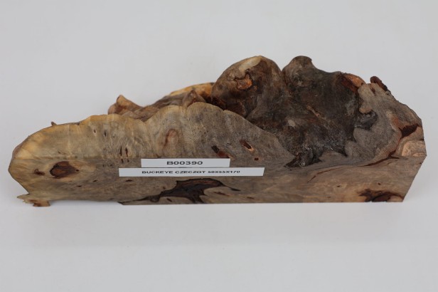 Kasztanowiec amerykański Buckeye czeczot/burl drewno na biżuterię