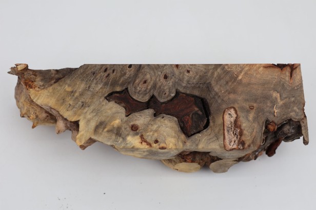 Kasztanowiec amerykański Buckeye czeczot/burl drewno na biżuterię