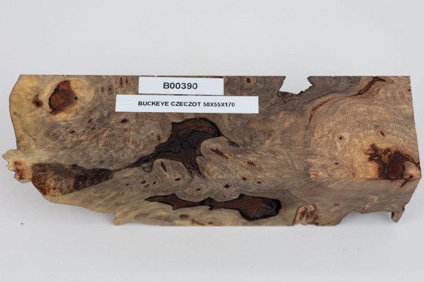 Kasztanowiec amerykański Buckeye czeczot/burl drewno na biżuterię