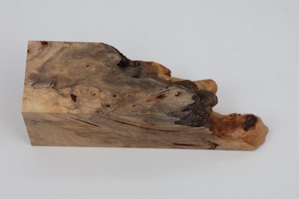 Kasztanowiec amerykański Buckeye czeczot/burl drewno na biżuterię