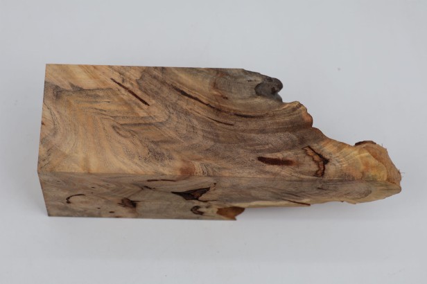 Kasztanowiec amerykański Buckeye czeczot/burl drewno na biżuterię
