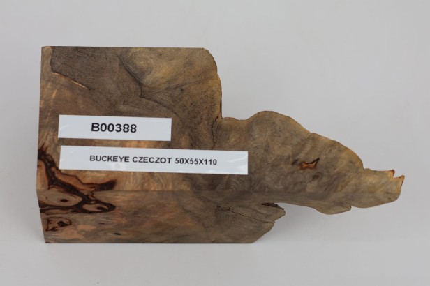 Kasztanowiec amerykański Buckeye czeczot/burl drewno na biżuterię