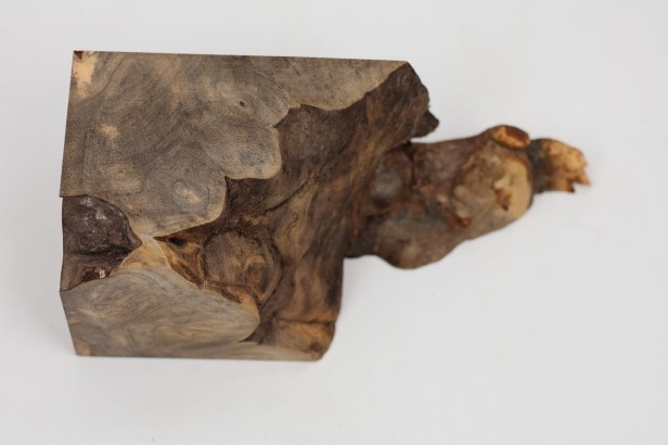 Kasztanowiec amerykański Buckeye czeczot/burl drewno na biżuterię