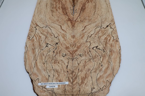 Buk Beech Wood spalted drewniany top na gitarę guitar top