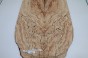 Buk Beech Wood spalted drewniany top na gitarę guitar top